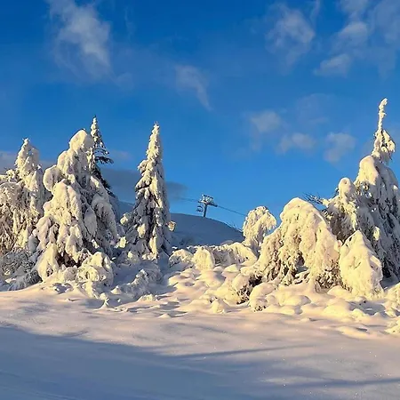 Feriehus Stunning In With Sauna Gol